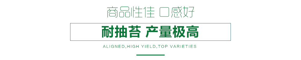 1558577249473385.jpg 詳情頁6.jpg