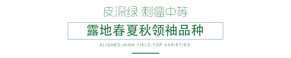 1585989656762936.jpg 07.jpg